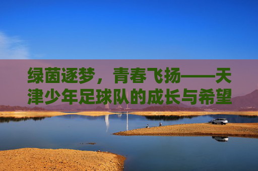 绿茵逐梦，青春飞扬——天津少年足球队的成长与希望，天津少年足球队，绿茵逐梦中的成长与希望