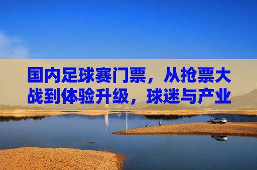 国内足球赛门票,从抢票大战到体验升级,球迷与产业的双向奔赴,国内足球门票,从抢票大战到体验升级的双向奔赴