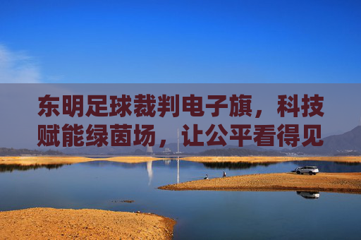 东明足球裁判电子旗,科技赋能绿茵场,让公平看得见,东明足球裁判电子旗,科技赋能,公平看得见