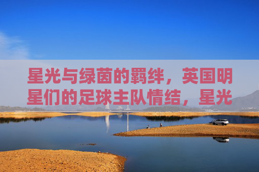 星光与绿茵的羁绊,英国明星们的足球主队情结,星光与绿茵的羁绊,英国明星的足球主队情结