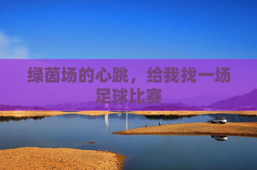 绿茵场的心跳,给我找一场足球比赛