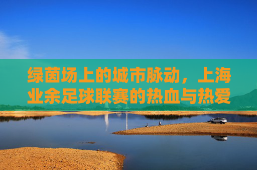 绿茵场上的城市脉动,上海业余足球联赛的热血与热爱,绿茵脉动,上海业余足球联赛的热血热爱