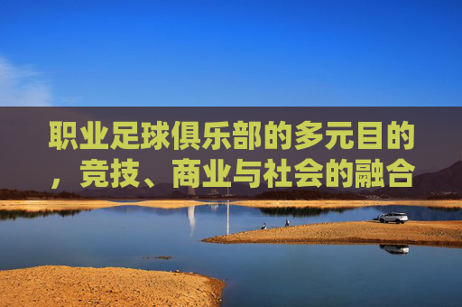 职业足球俱乐部的多元目的,竞技、商业与社会的融合,职业足球俱乐部的三元融合,竞技、商业与社会