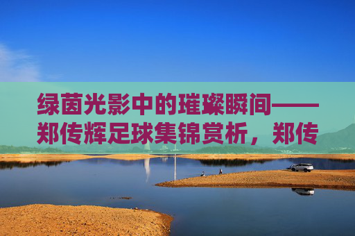 绿茵光影中的璀璨瞬间——郑传辉足球集锦赏析，郑传辉足球集锦，绿茵光影中的璀璨瞬间