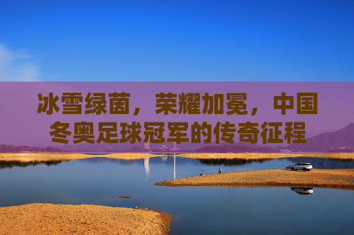 冰雪绿茵,荣耀加冕,中国冬奥足球冠军的传奇征程