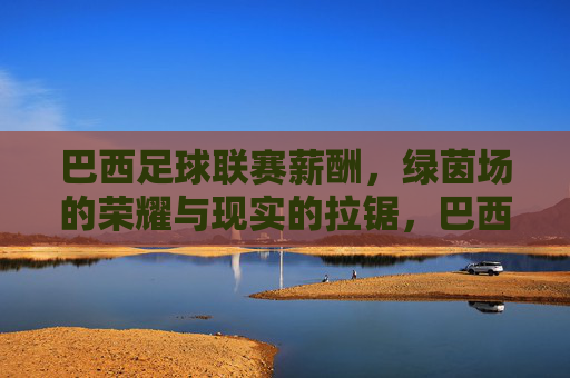 巴西足球联赛薪酬,绿茵场的荣耀与现实的拉锯,巴西足球联赛薪酬,绿茵场荣耀与现实的拉锯