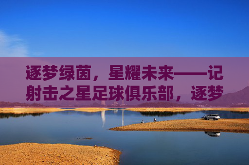 逐梦绿茵，星耀未来——记射击之星足球俱乐部，逐梦绿茵，星耀未来