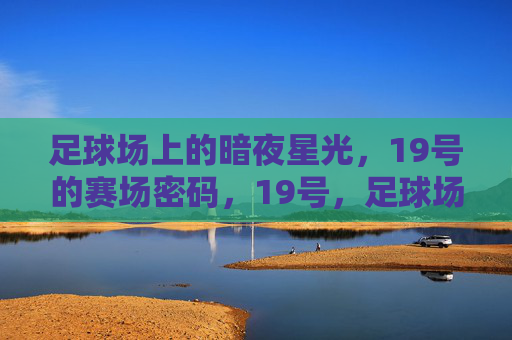 足球场上的暗夜星光,19号的赛场密码,19号,足球场上的星光密码