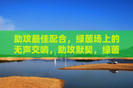 助攻最佳配合，绿茵场上的无声交响，助攻默契，绿茵无声交响
