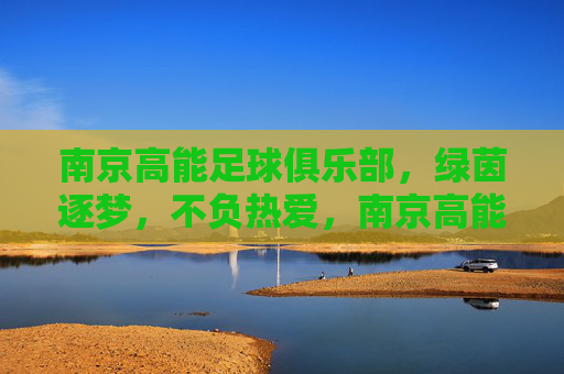 南京高能足球俱乐部，绿茵逐梦，不负热爱，南京高能，绿茵逐梦不负热爱