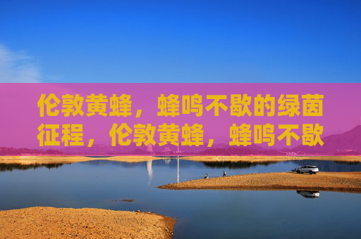 伦敦黄蜂，蜂鸣不歇的绿茵征程，伦敦黄蜂，蜂鸣不歇的绿茵征程