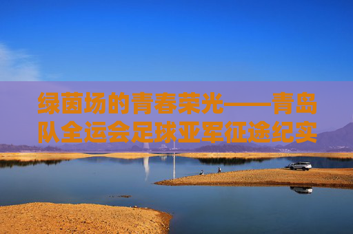 绿茵场的青春荣光——青岛队全运会足球亚军征途纪实,青岛队全运会足球亚军征途,绿茵场的青春荣光