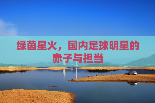 绿茵星火,国内足球明星的赤子与担当