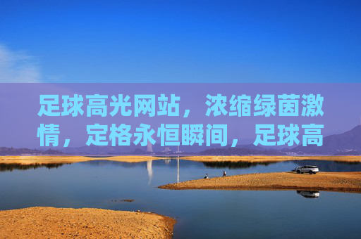 足球高光网站,浓缩绿茵激情,定格永恒瞬间,足球高光,浓缩绿茵激情,定格永恒瞬间