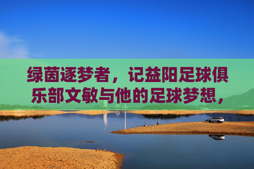 绿茵逐梦者,记益阳足球俱乐部文敏与他的足球梦想,绿茵逐梦者,文敏与益阳足球梦