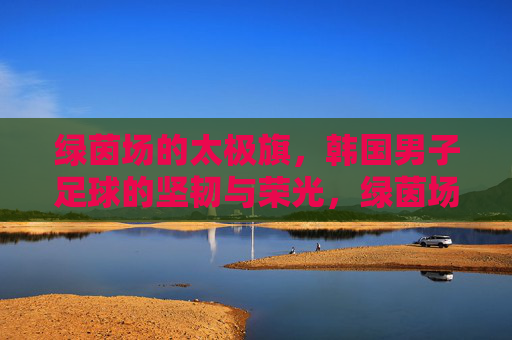 绿茵场的太极旗，韩国男子足球的坚韧与荣光，绿茵场太极旗，韩国男足的坚韧与荣光