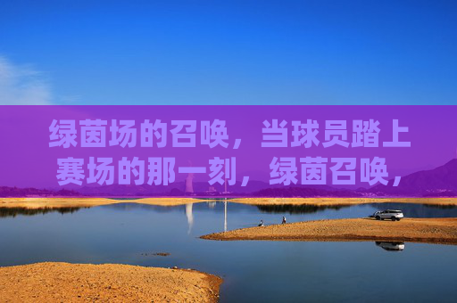 绿茵场的召唤，当球员踏上赛场的那一刻，绿茵召唤，赛场启程