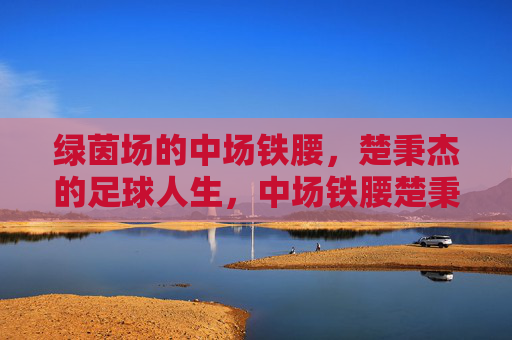 绿茵场的中场铁腰,楚秉杰的足球人生,中场铁腰楚秉杰的足球人生