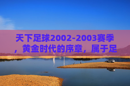天下足球2002-2003赛季,黄金时代的序章,属于足球的纯粹记忆,天下足球2002-2003,黄金时代的纯粹序章