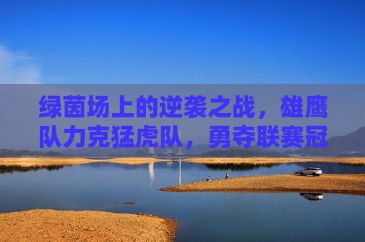 绿茵场上的逆袭之战，雄鹰队力克猛虎队，勇夺联赛冠军！绿茵场逆袭，雄鹰队力克猛虎队勇夺联赛冠军