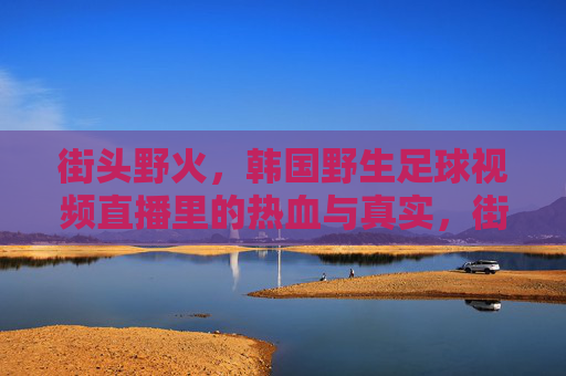 街头野火,韩国野生足球视频直播里的热血与真实,街头野火,韩国野生足球直播的热血与真实