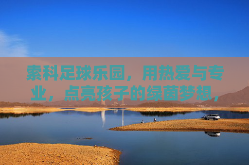 索科足球乐园，用热爱与专业，点亮孩子的绿茵梦想，索科足球乐园，用热爱与专业点亮孩子的绿茵梦想