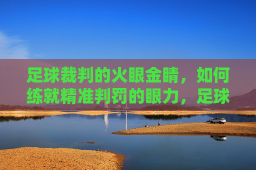 足球裁判的火眼金睛,如何练就精准判罚的眼力,足球裁判火眼金睛,精准判罚眼力练就