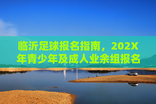 临沂足球报名指南，202X年青少年及成人业余组报名全攻略，临沂202X年足球报名指南，青少年及成人业余组全攻略
