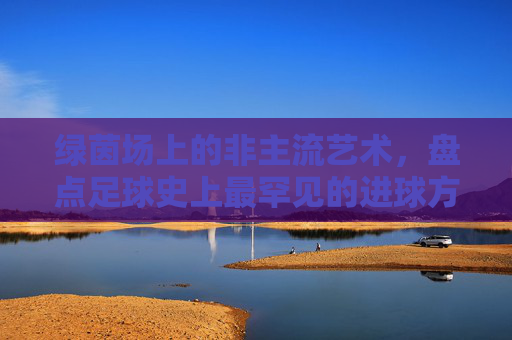 绿茵场上的非主流艺术,盘点足球史上最罕见的进球方式,绿茵场非主流艺术,盘点足球史上最罕见进球方式