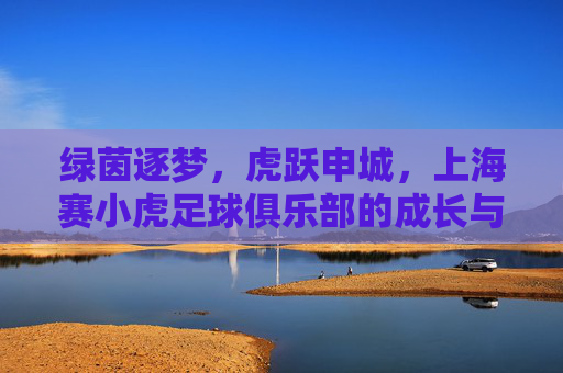 绿茵逐梦,虎跃申城,上海赛小虎足球俱乐部的成长与热爱
