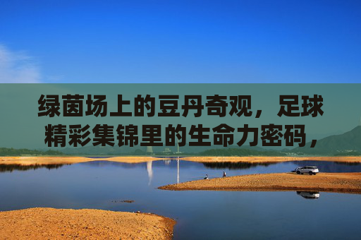 绿茵场上的豆丹奇观,足球精彩集锦里的生命力密码,绿茵场上的豆丹奇观,足球的生命力密码