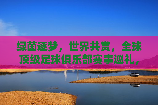 绿茵逐梦，世界共赏，全球顶级足球俱乐部赛事巡礼，绿茵逐梦，全球顶级足球俱乐部赛事巡礼