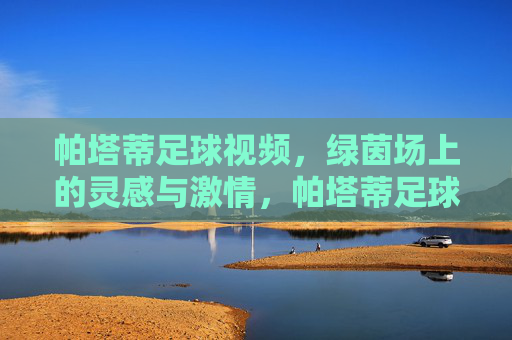 帕塔蒂足球视频，绿茵场上的灵感与激情，帕塔蒂足球视频，绿茵场上的灵感与激情