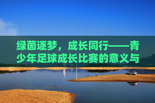 绿茵逐梦,成长同行——青少年足球成长比赛的意义与启示,绿茵逐梦,成长同行——青少年足球成长比赛的意义与启示