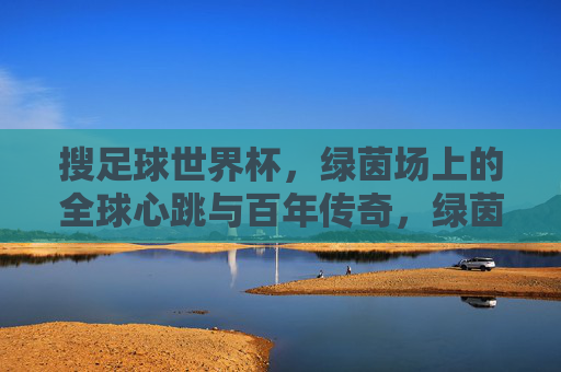 搜足球世界杯，绿茵场上的全球心跳与百年传奇，绿茵心跳，百年传奇，足球世界杯的全球脉动
