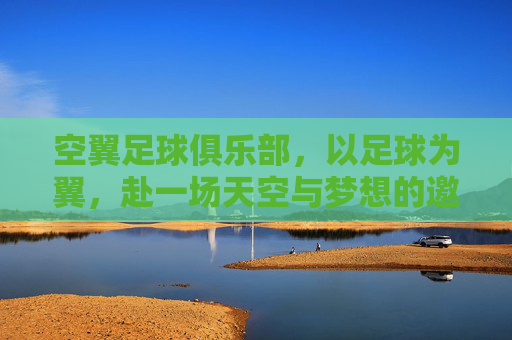 空翼足球俱乐部,以足球为翼,赴一场天空与梦想的邀约,空翼,足球为翼,赴天空梦想之约