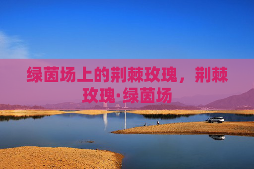 绿茵场上的荆棘玫瑰，荆棘玫瑰·绿茵场