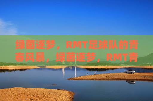 绿茵逐梦，RMT足球队的青春风暴，绿茵逐梦，RMT青春风暴