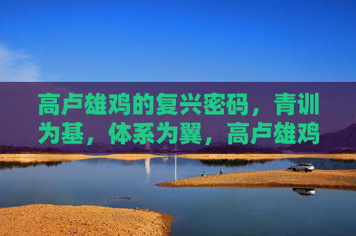 高卢雄鸡的复兴密码，青训为基，体系为翼，高卢雄鸡复兴密码，青训为基，体系为翼