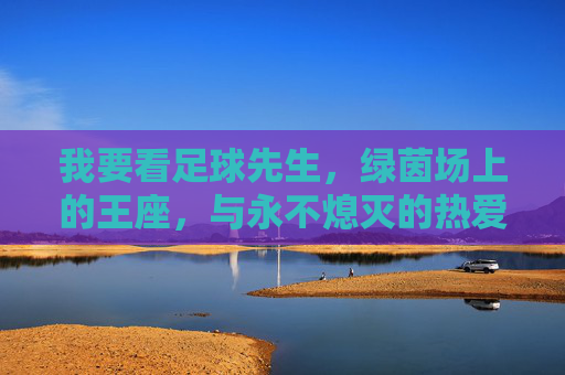 我要看足球先生,绿茵场上的王座,与永不熄灭的热爱,足球先生,绿茵王座与不灭热爱
