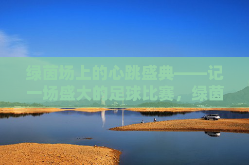 绿茵场上的心跳盛典——记一场盛大的足球比赛,绿茵心跳盛典,足球盛宴