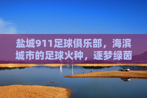 盐城911足球俱乐部,海滨城市的足球火种,逐梦绿茵的青春之歌,盐城911,海滨火种,逐梦青春绿茵之歌