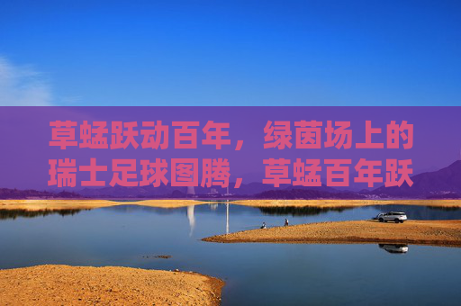草蜢跃动百年,绿茵场上的瑞士足球图腾,草蜢百年跃动,绿茵场上的瑞士足球图腾