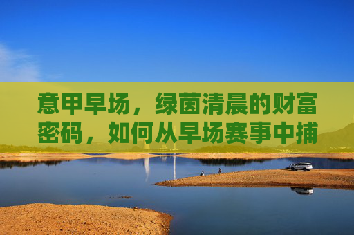 意甲早场,绿茵清晨的财富密码,如何从早场赛事中捕捉价值?