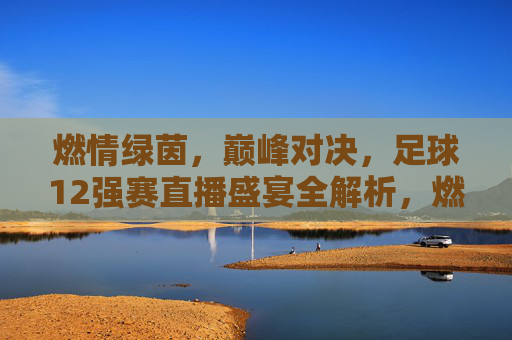 燃情绿茵,巅峰对决,足球12强赛直播盛宴全解析,燃情巅峰对决,12强赛直播盛宴全解析