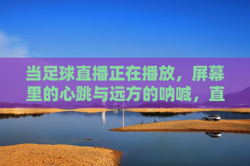 当足球直播正在播放,屏幕里的心跳与远方的呐喊,直播心跳,远方呐喊
