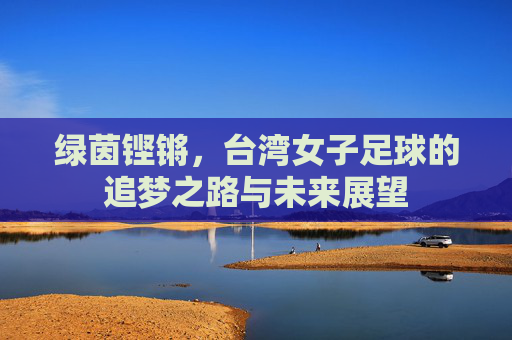 绿茵铿锵,台湾女子足球的追梦之路与未来展望
