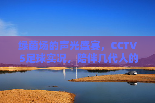 绿茵场的声光盛宴,CCTV 5足球实况,陪伴几代人的热血记忆,CCTV5绿茵声光,几代人的足球热血记忆