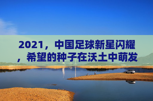 2021，中国足球新星闪耀，希望的种子在沃土中萌发，2021中国足球新星闪耀，希望萌发