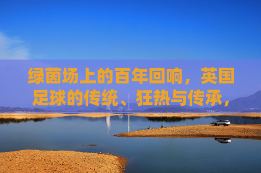 绿茵场上的百年回响,英国足球的传统、狂热与传承,绿茵百年,英国足球的传统、狂热与传承